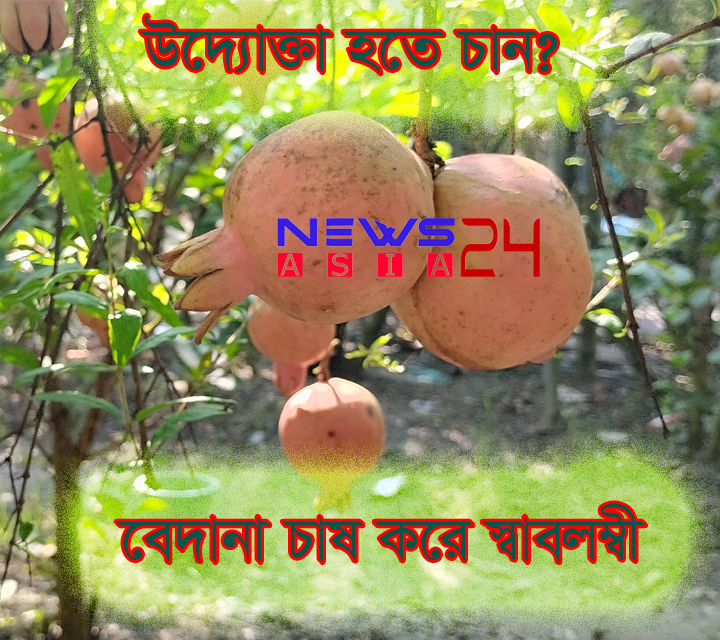 Bedana-garden-rajshahi-newsasia24-thumbnail