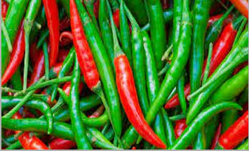 Eating-more-pepper-increases-life-expectancy-newsasia24