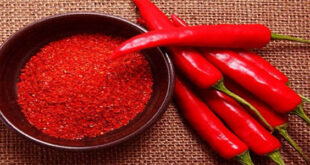 Eating-more-pepper-increases-life-expectancy2-newsasia24