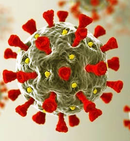 jn.1-virus-like-corona-newsasia24 2