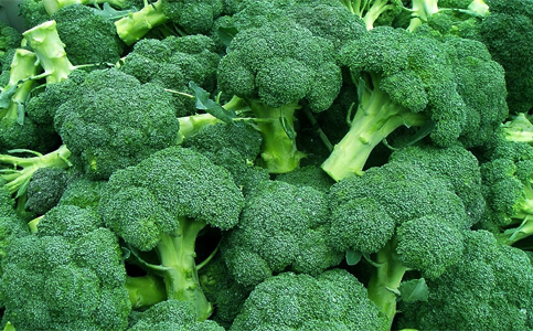 Benefits-of-Broccoli-newsasia24