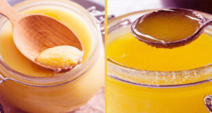 The-magic-of-ghee-in-skin-care-newsasia24